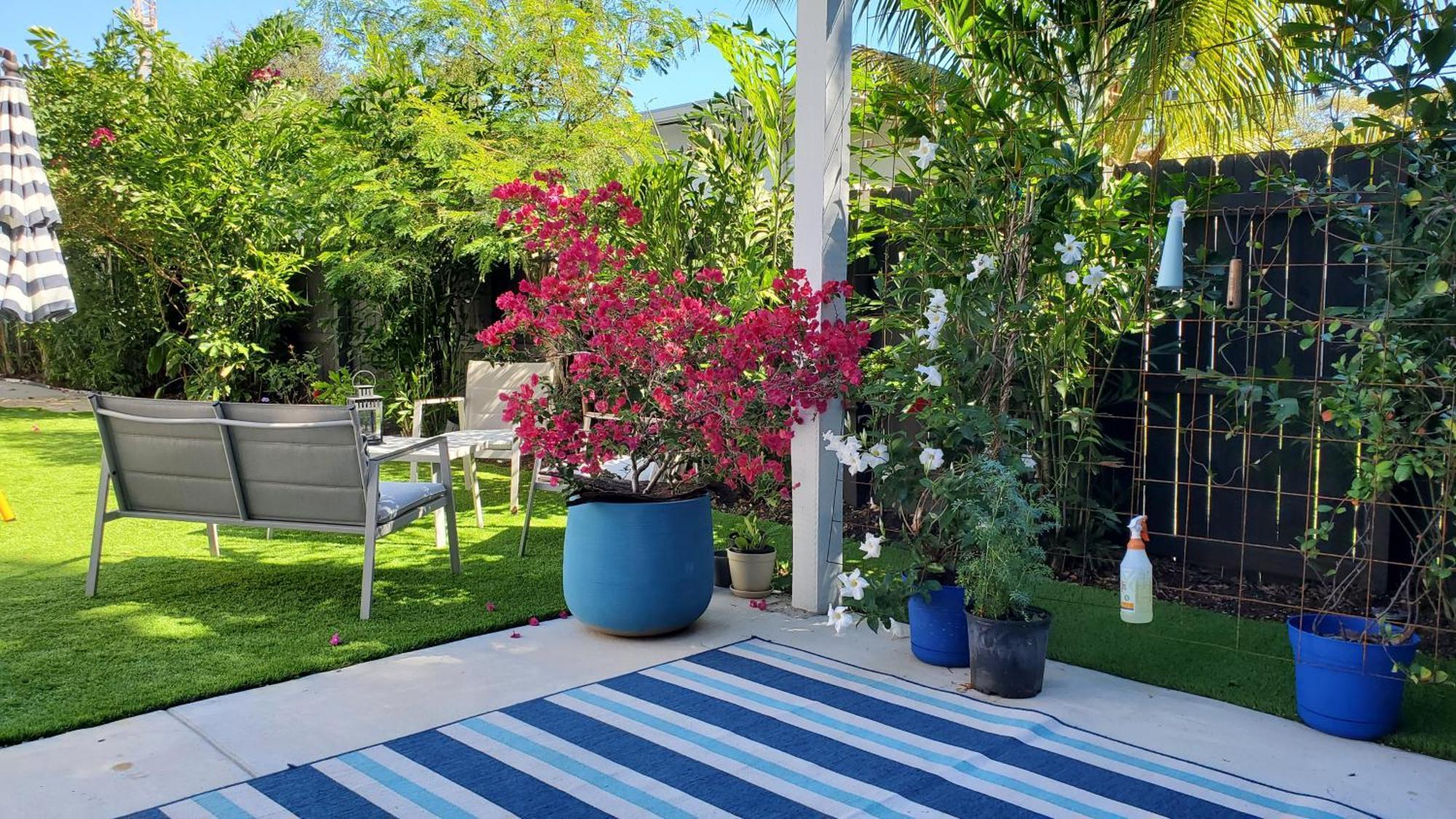 Casa Cuba In Little Havana, Brickell, Calle 8 And 10 Minutes To The Beach Free Parking ไมอามี ภายนอก รูปภาพ